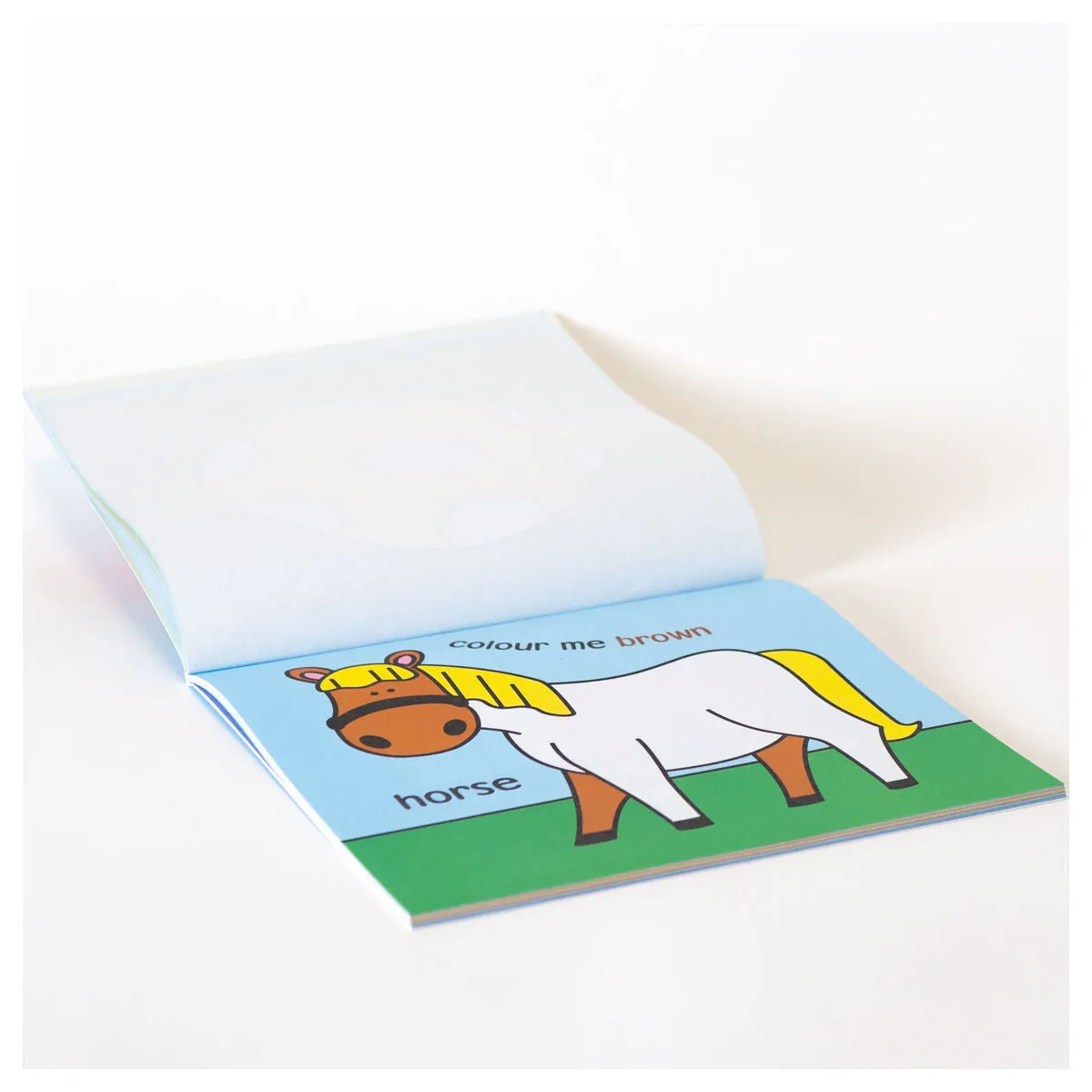 Baby's First Colouring Books (styles vary)