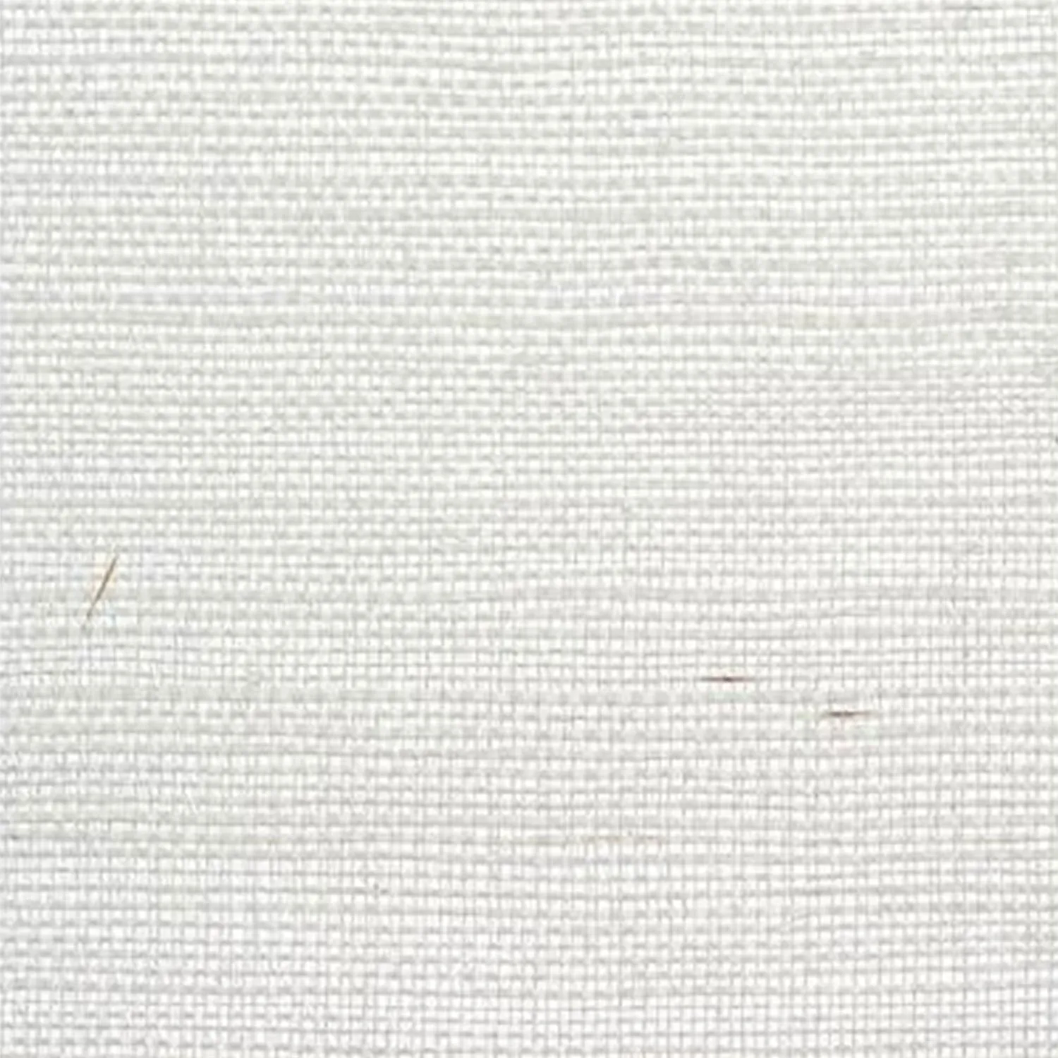 Grasscloth Wallpaper in Pearl