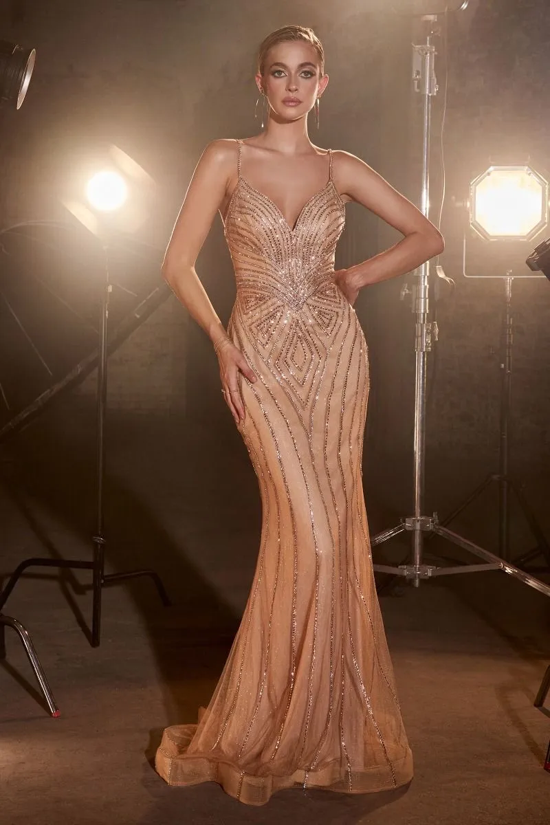 Rhinestone Embellished Fitted Gown CD845